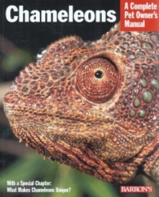 Chameleons