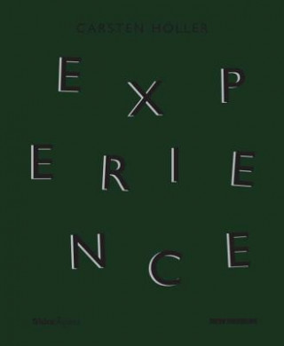Carsten Hoeller: Experience