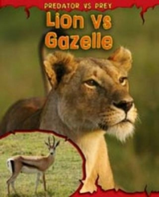 Lion Vs Gazelle