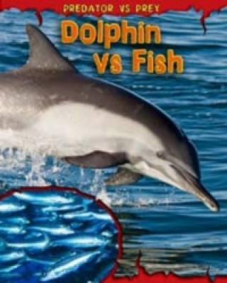 Dolphin vs Fish