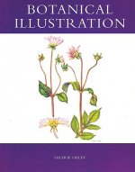 Botanical Illustration