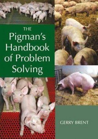 Pigman's Handbook of Problem Solving