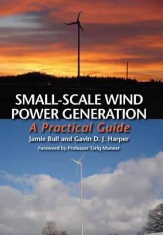 Small-Scale Wind Power Generation