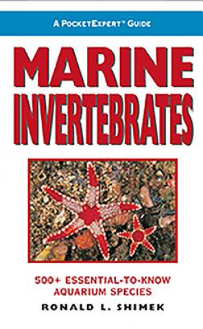 Marine Invertebrates