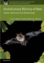 Evolutionary History of Bats
