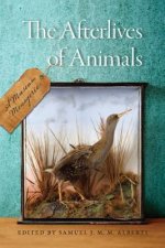 Afterlives of Animals