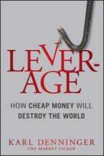 Leverage - How Cheap Money Will Destroy the World