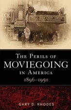 Perils of Moviegoing in America