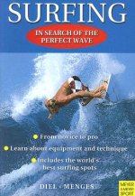 Surfing - In search of the perfect wave
