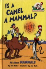 Is a Camel a Mammal?