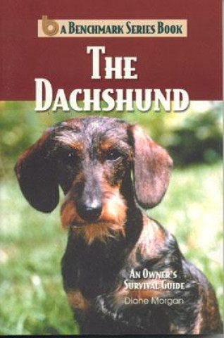 Dachshund