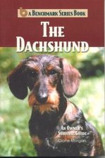 Dachshund