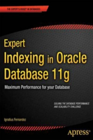 Expert Indexing in Oracle Database 11g: Maximum Performance