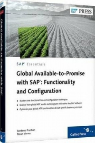 Global Available to Promise with SAP: Functionality and Conf
