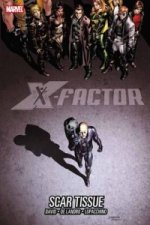 X-factor Vol. 12