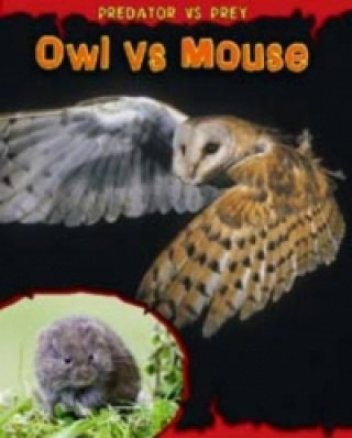 Owl vs Mouse
