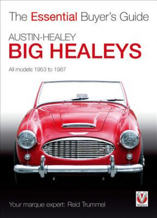 Essential Buyers Guide Austin Healey Big Healeys