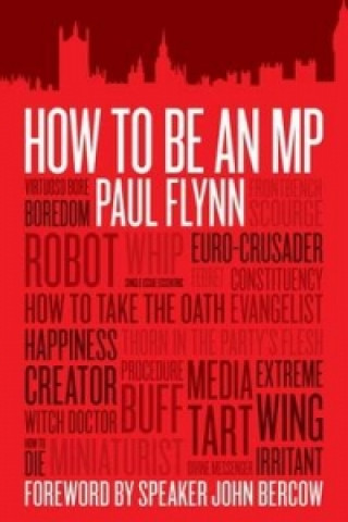 How to be an MP