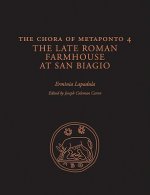 Chora of Metaponto 4