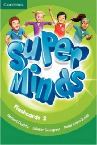 Super Minds Level 2 Flashcards (Pack of 103)