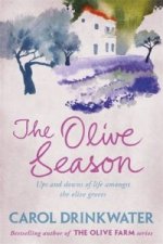 Olive Season