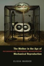 Mother in the Age of Mechanical Reproduction
