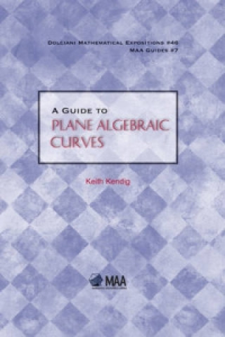 Guide to Plane Algebraic Curves