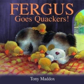 Fergus Goes Quackers