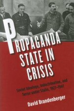 Propaganda State in Crisis