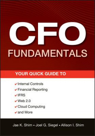 CFO Fundamentals - Your Quick Guide to Internal Controls, Financial Reporting, IFRS, Web 2.0, Cloud Computing, and More