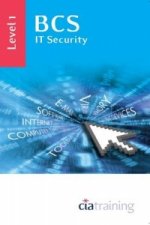 BCS IT Security Level 1