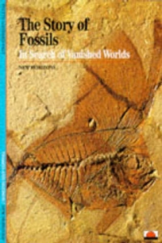 Story of Fossils