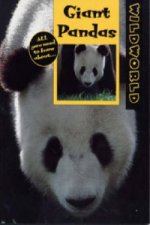 Giant Pandas