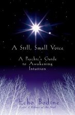 Still Small Voice