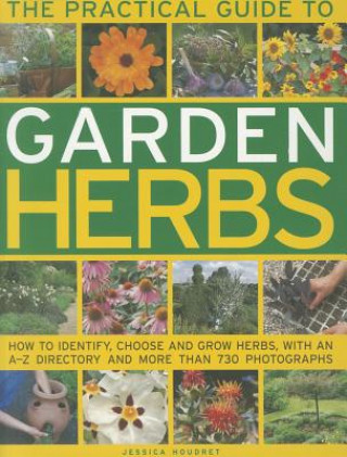 Practical Guide to Garden Herbs