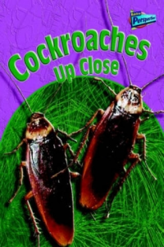Cockroaches Up Close