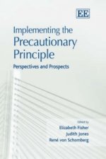 Implementing the Precautionary Principle