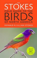 Stokes Field Guide To The Birds Of North America