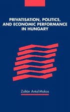 Privatisation, Politics, and Economic Performance in Hungary