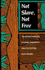 Not Slave, Not Free