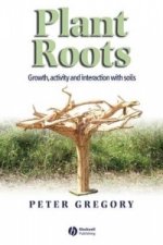 Plant Roots - Growth, Activity and Interactions with the Soil
