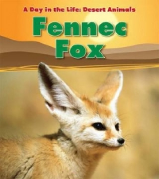 Day in the Life: Desert Animals: Fennec Fox