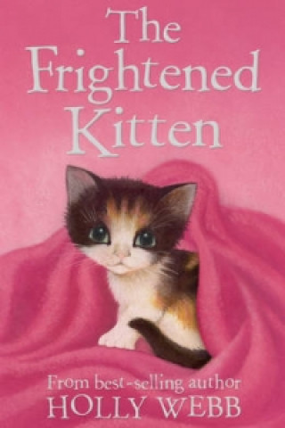 Frightened Kitten