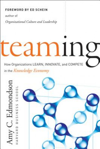Teaming - How Organizations Learn, Innovate and Compete in the Knowledge Economy