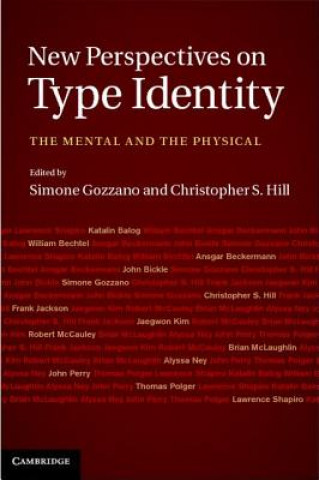 New Perspectives on Type Identity
