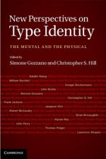 New Perspectives on Type Identity