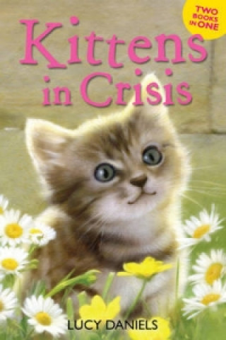 Animal Ark: Kittens in Crisis