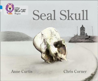 Seal Skull