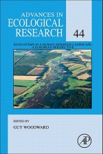Role of Body Size in Multispecies Systems
