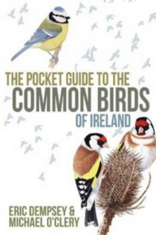 Pocket Guide to the Common Birds of Ireland